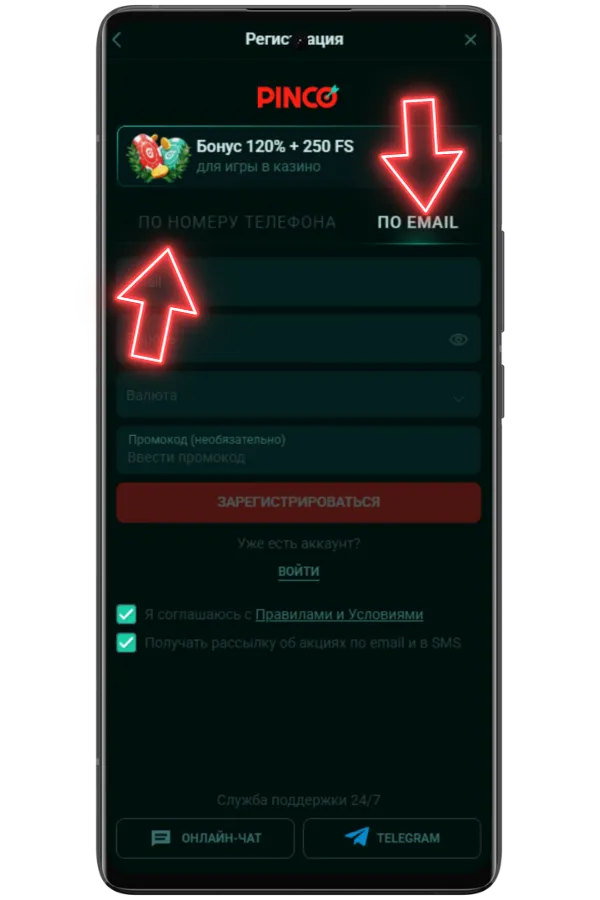 Введите контактные данные